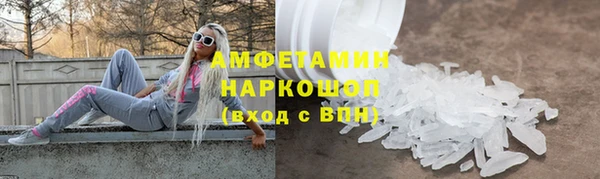 прущие грибы Наволоки