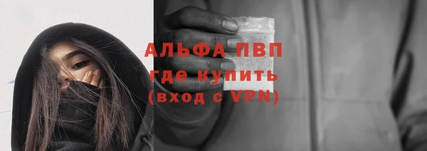 прущие грибы Наволоки