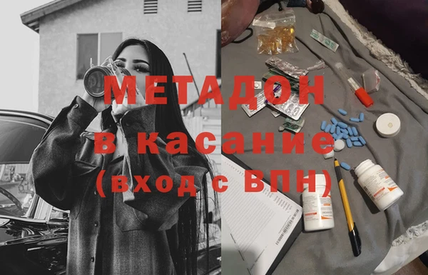 прущие грибы Наволоки