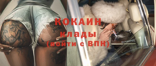 прущие грибы Наволоки