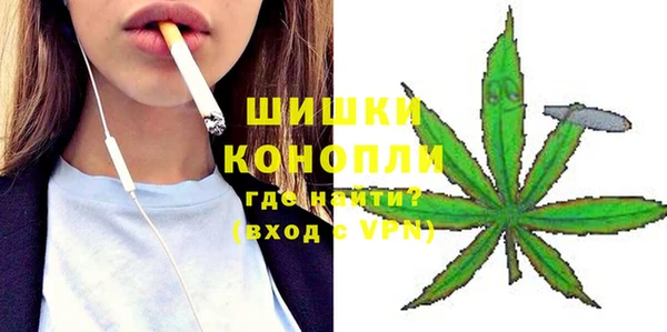 прущие грибы Наволоки